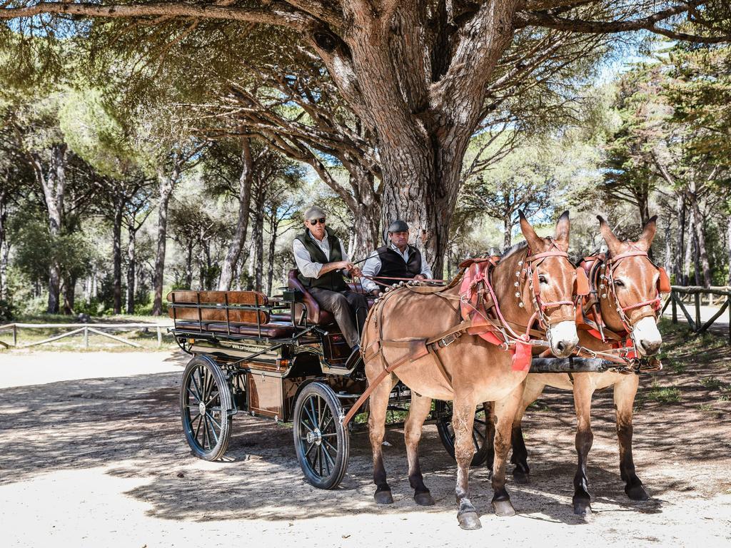 Casa Rural Aldea Chica Villa Los Canos De Meca Dış mekan fotoğraf