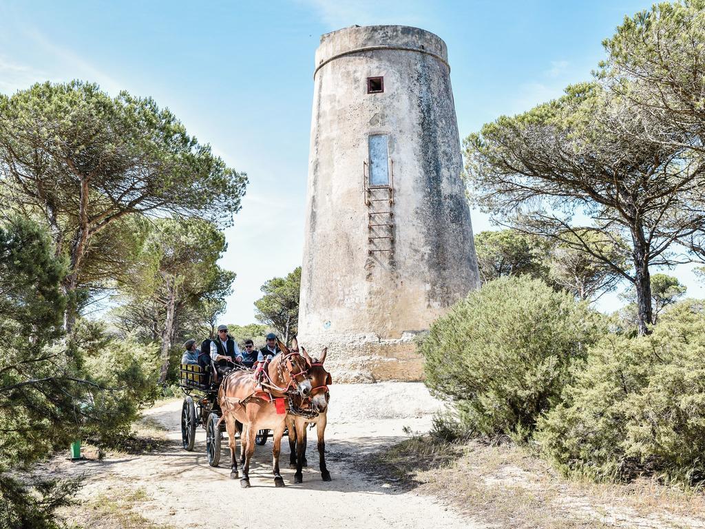 Casa Rural Aldea Chica Villa Los Canos De Meca Dış mekan fotoğraf