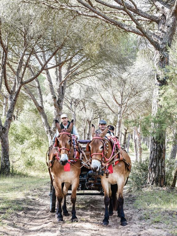 Casa Rural Aldea Chica Villa Los Canos De Meca Dış mekan fotoğraf